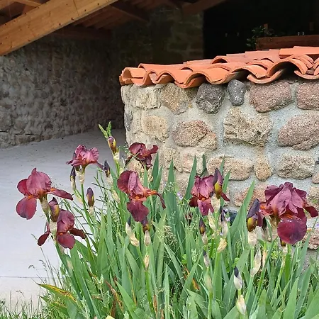 Maison En Pierres Avec Cheminee Et Jardin - Proche St-paulien - Fr-1-582-305 *