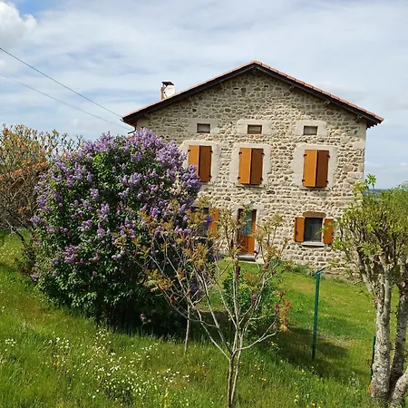 Maison En Pierres Avec Cheminee Et Jardin - Proche St-paulien - Fr-1-582-305 Country house