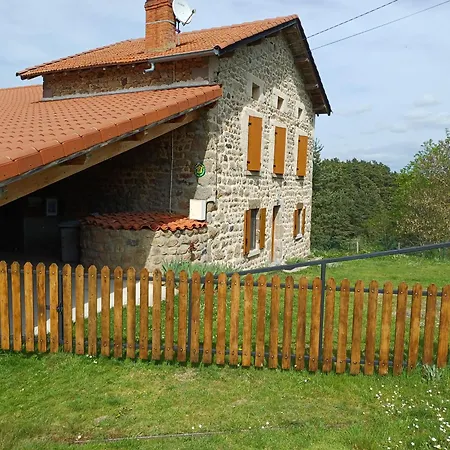 Maison En Pierres Avec Cheminee Et Jardin - Proche St-paulien - Fr-1-582-305 Country house *