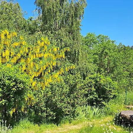 Maison En Pierres Avec Cheminee Et Jardin - Proche St-paulien - Fr-1-582-305 Country house Saint-Geneys-pres-Saint-Paulien