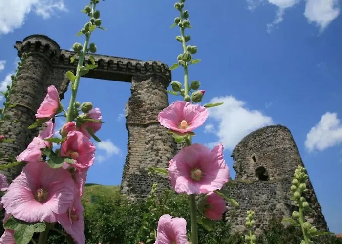Maison En Pierres Avec Cheminee Et Jardin - Proche St-paulien - Fr-1-582-305 *