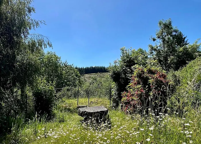 Vakantiehuis Maison En Pierres Avec Cheminee Et Jardin - Proche St-paulien - Fr-1-582-305 Saint-Geneys-pres-Saint-Paulien